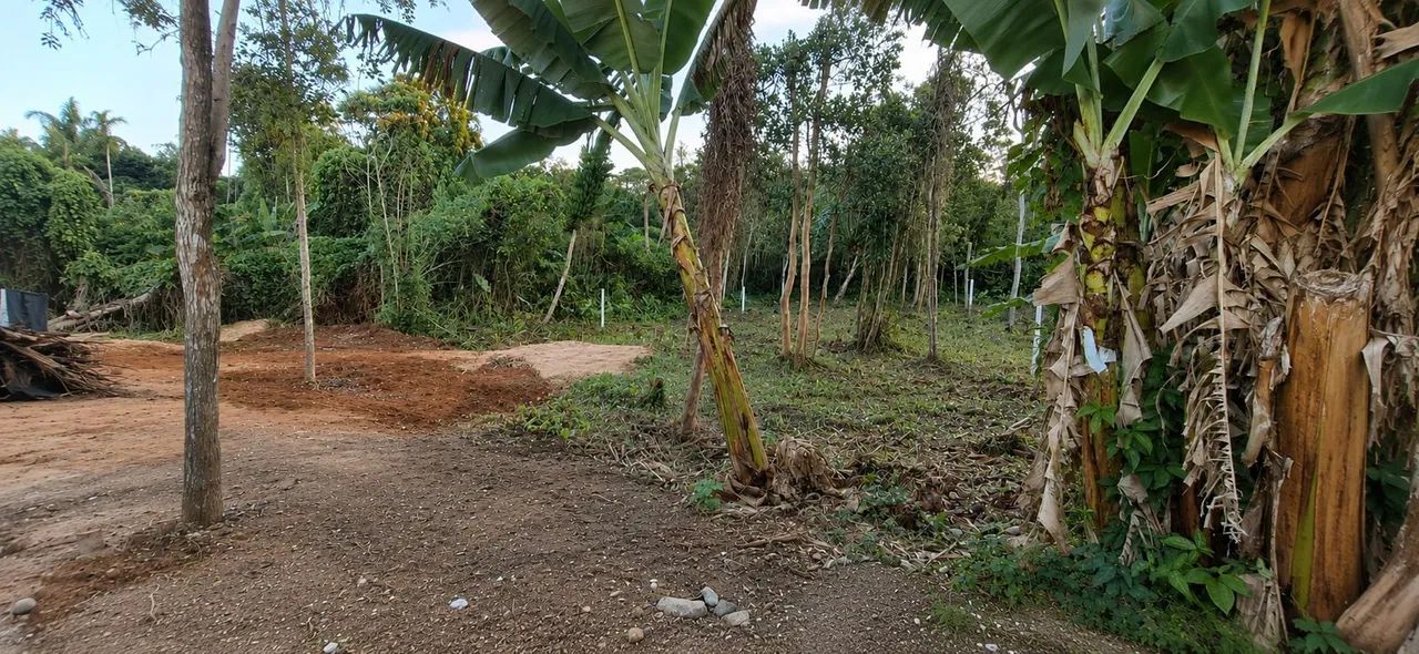 Terreno à venda no Campeche - Foto 4