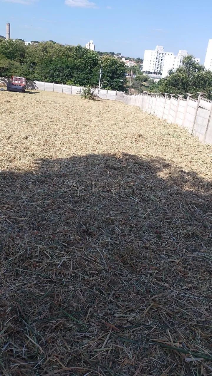 Terreno à venda em Campinas, Parque Taquaral, com 5116 m² - Foto 4