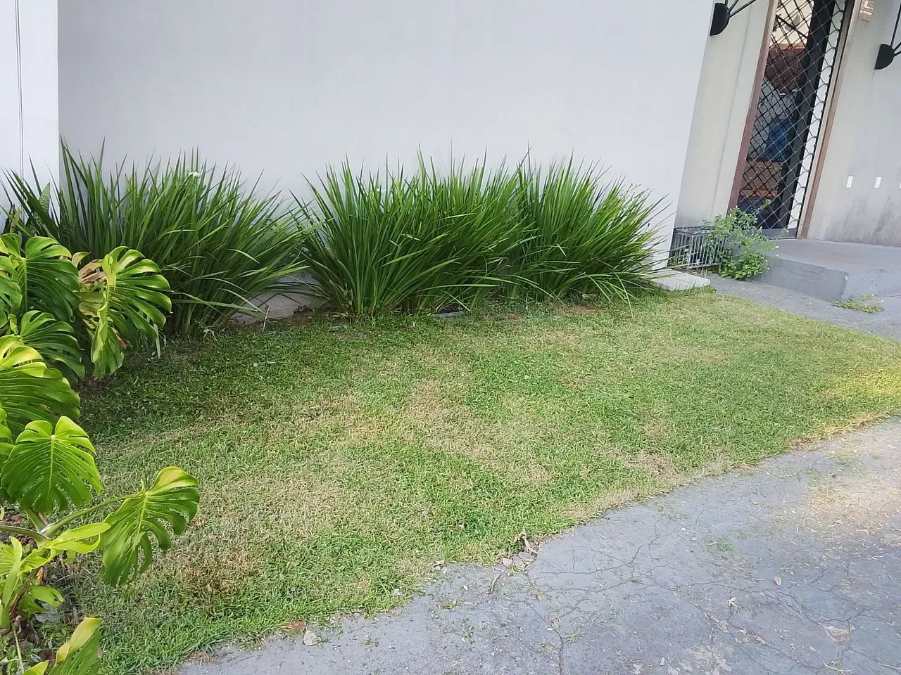 Limpeza de jardim e Roçado interessado no chat  - Foto 5