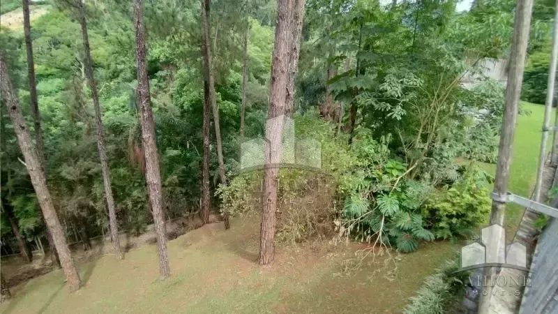 Sitio com 3 quartos em Teresópolis - Foto 4