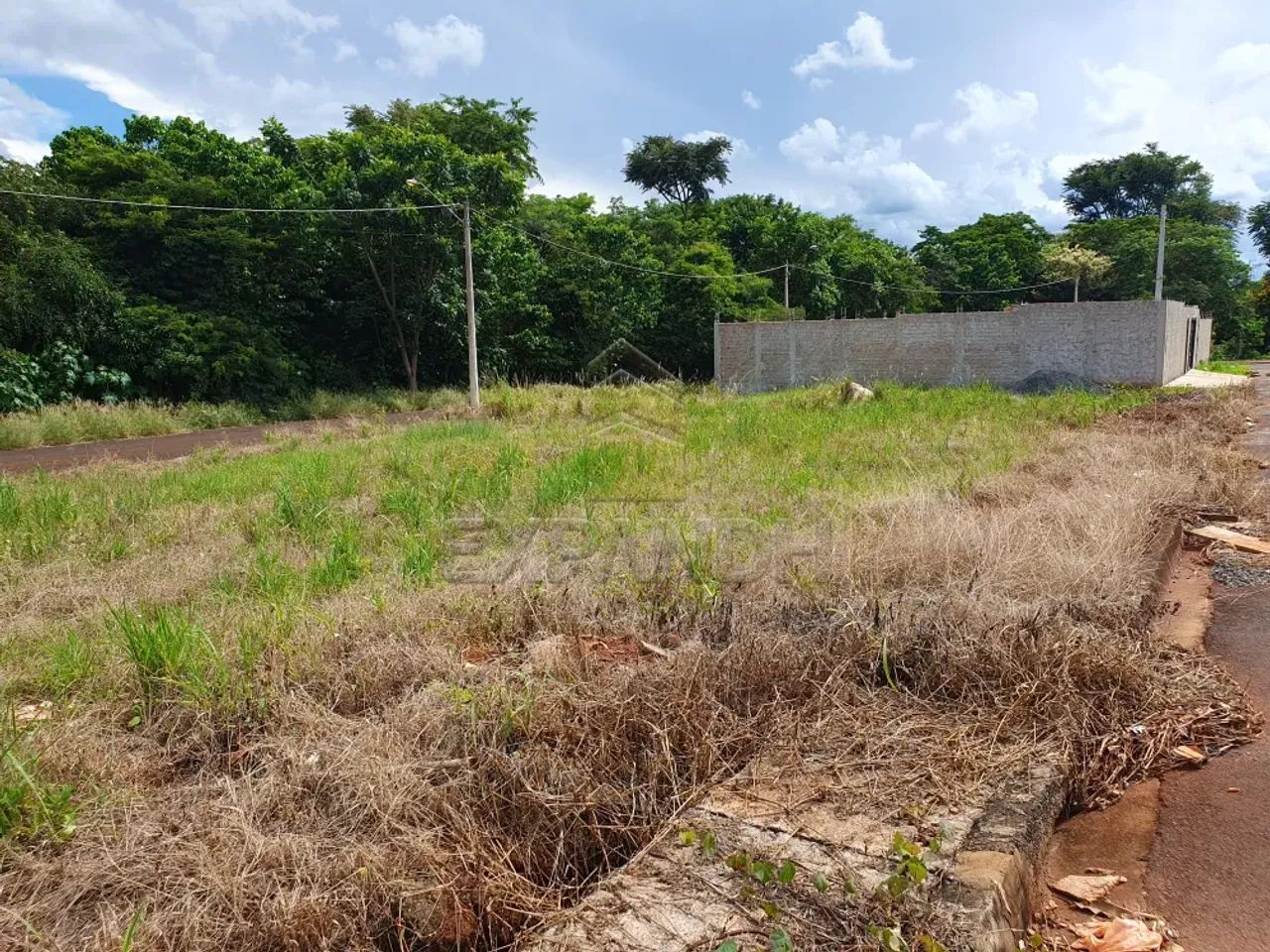 Terrenos Padrão em Dumont