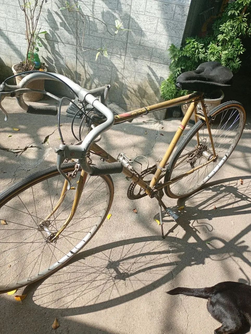 Monark 10