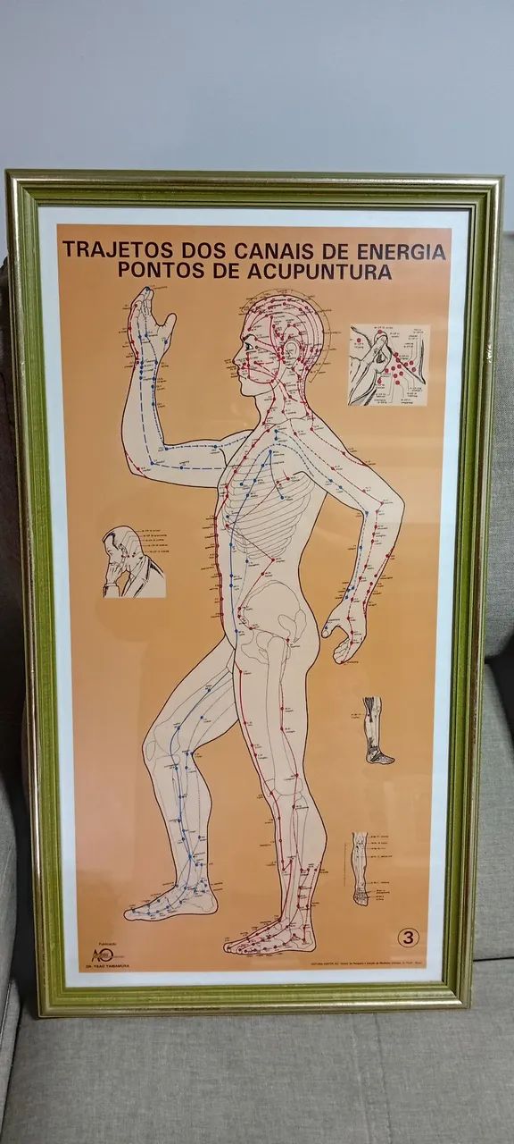 Quadros de vidros e boneco acupuntura 