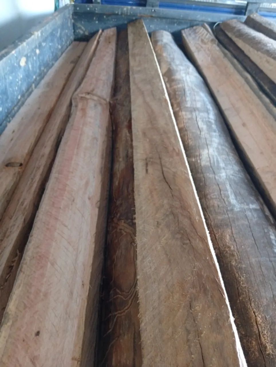 Lasca de eucalipto  - Foto 2