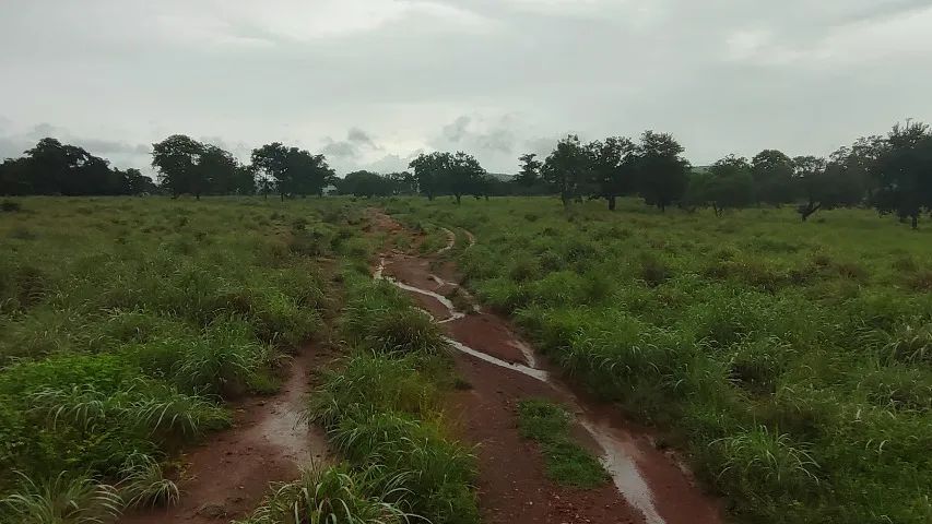 Fazenda 17 alq em Porto Nacional  - Foto 2