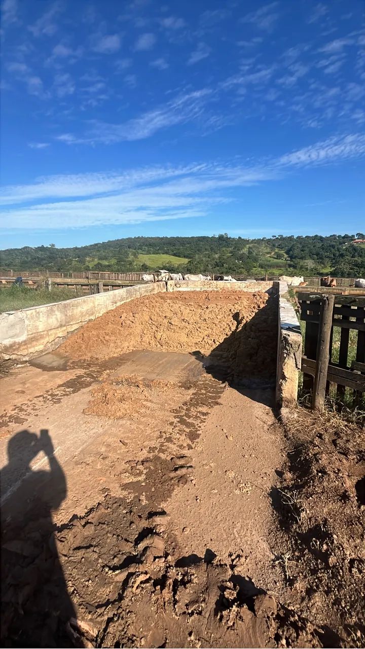 Venda de cevada Úmida  - Foto 2
