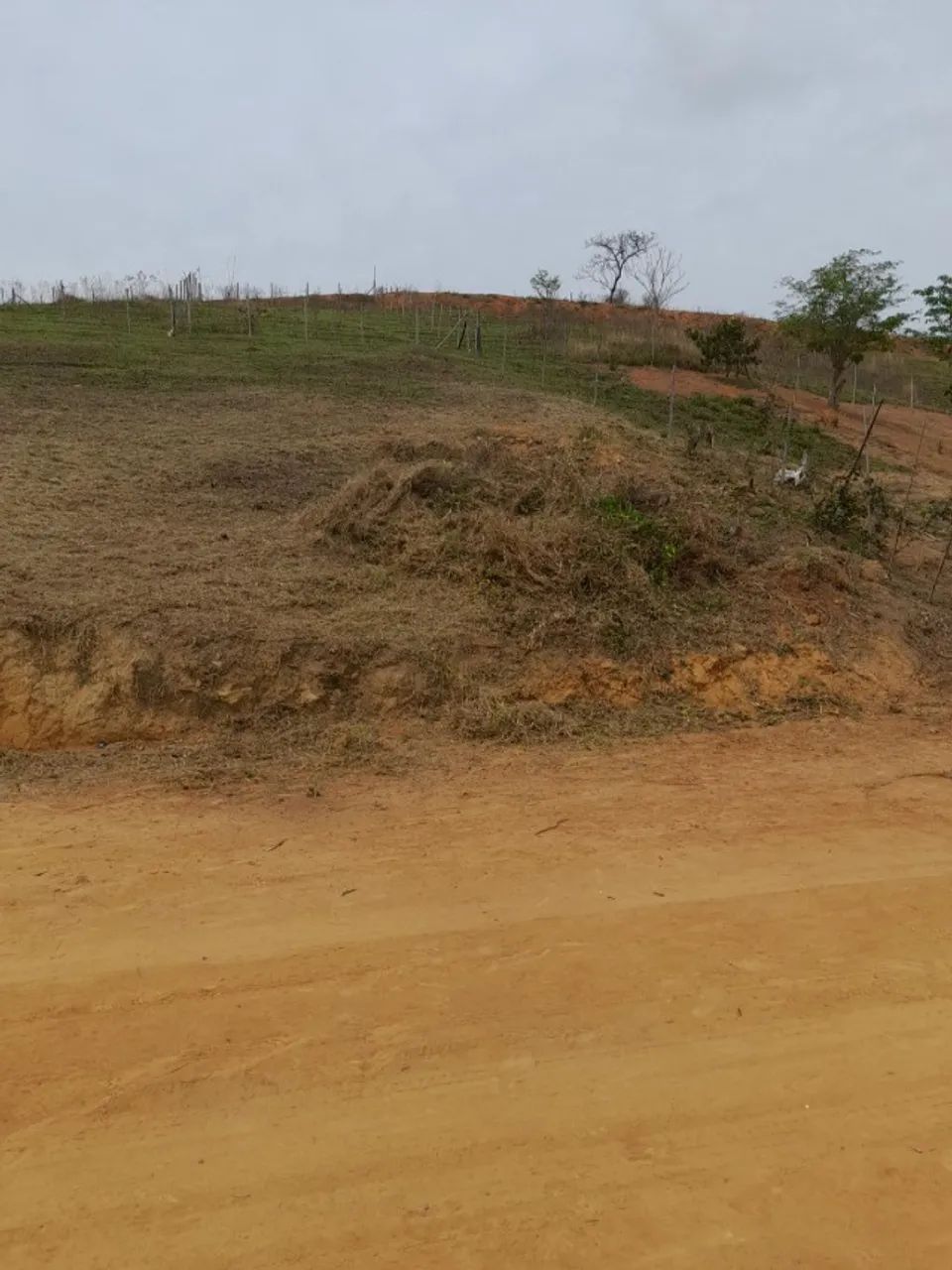 Roçagem e Limpeza de Terrenos, Lotes e Chácaras - Foto 5