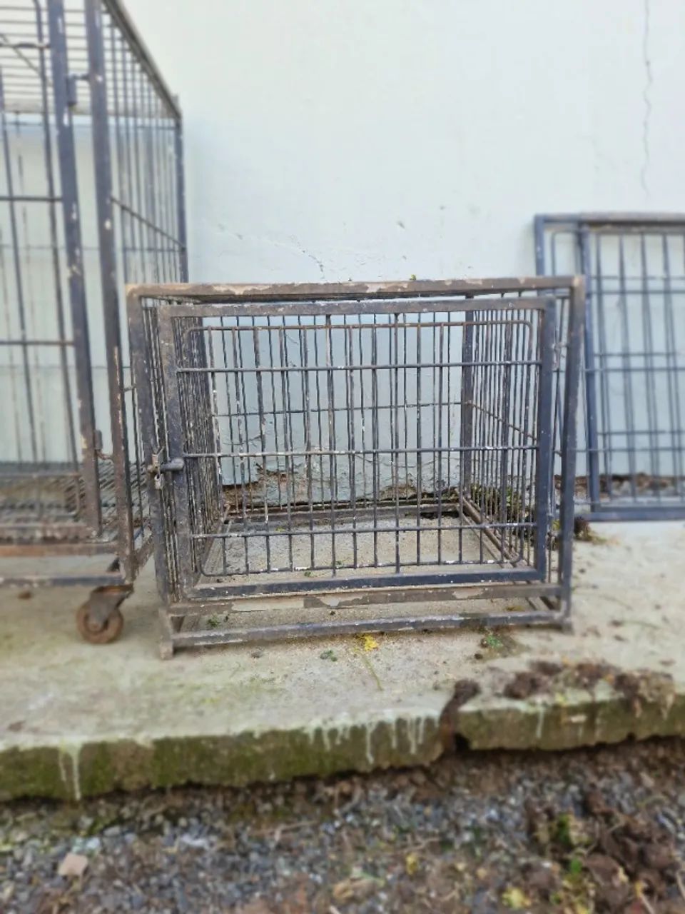caixa gaiola transporte pet - Foto 3