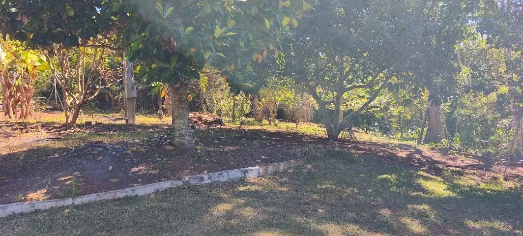 Chácara de meio alqueire  - Foto 2