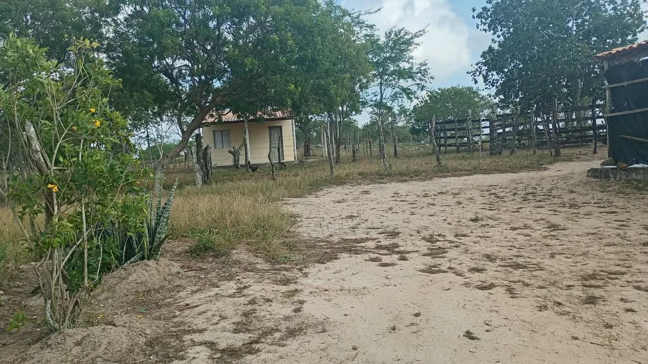 Sitio - Foto 2