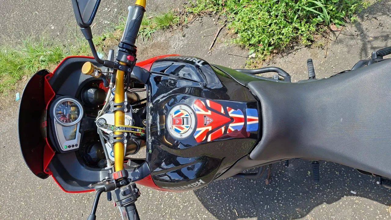 Tiger 2009 - Foto 5