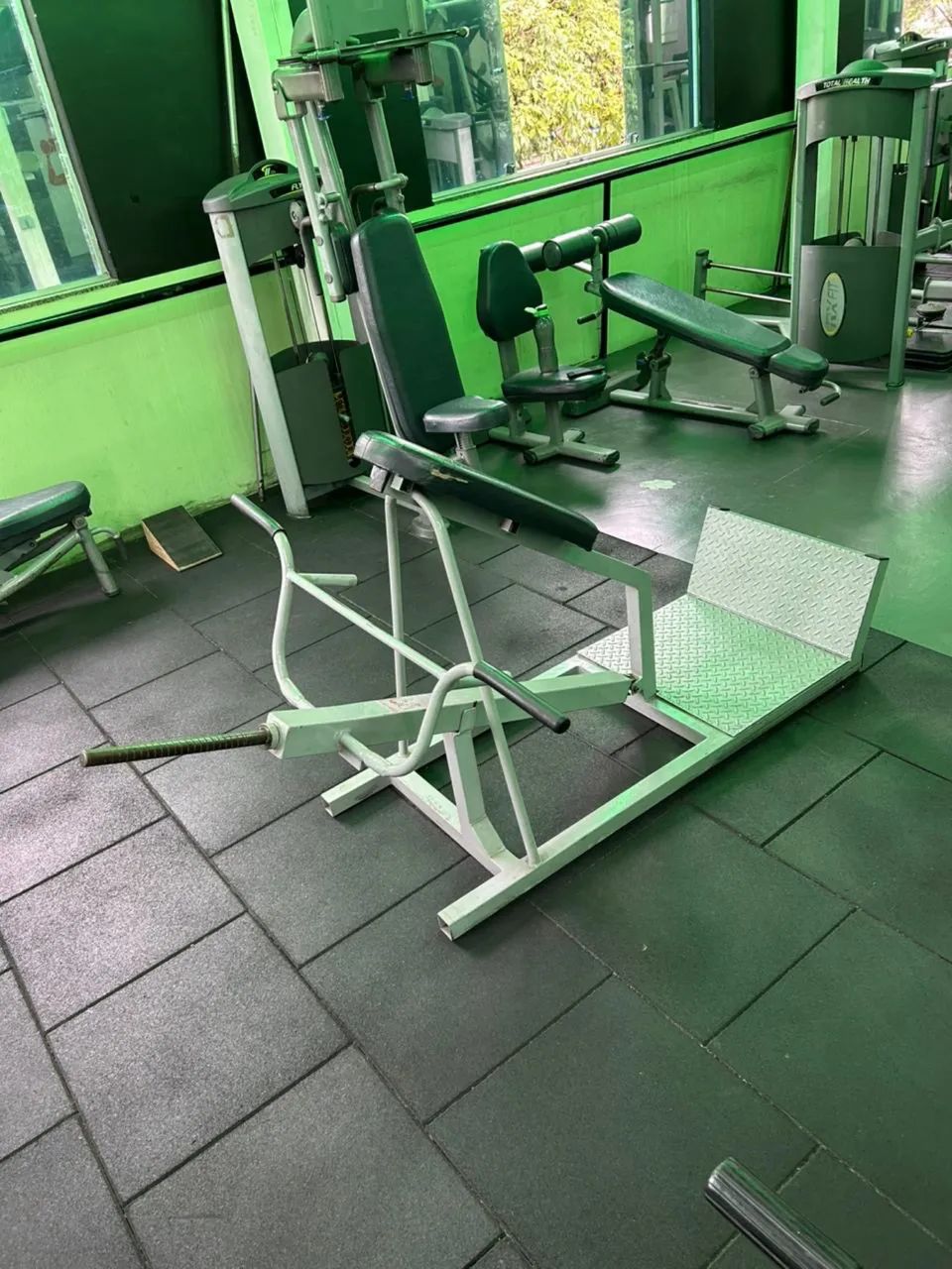 Remada Cavalinho Profissional - Equipamento de Academia