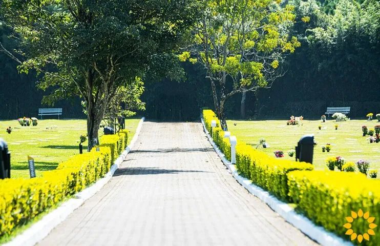 Jazigo duplo (6 gavetas) - Foto 3