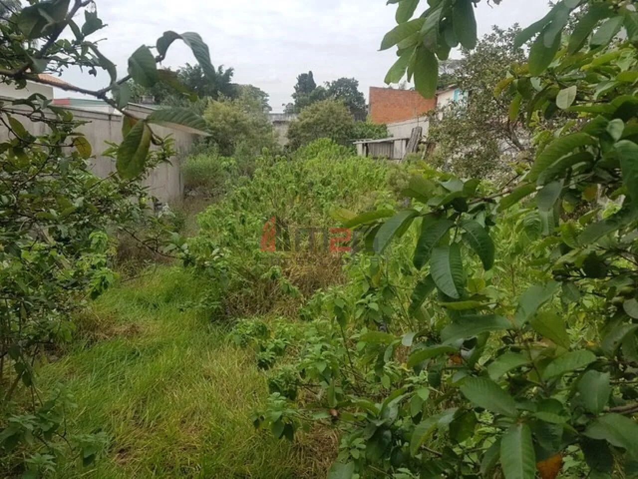Terreno Residencial - Foto 2