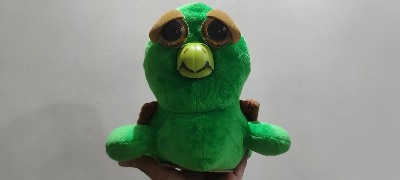 Tartaruga Feisty Pets 