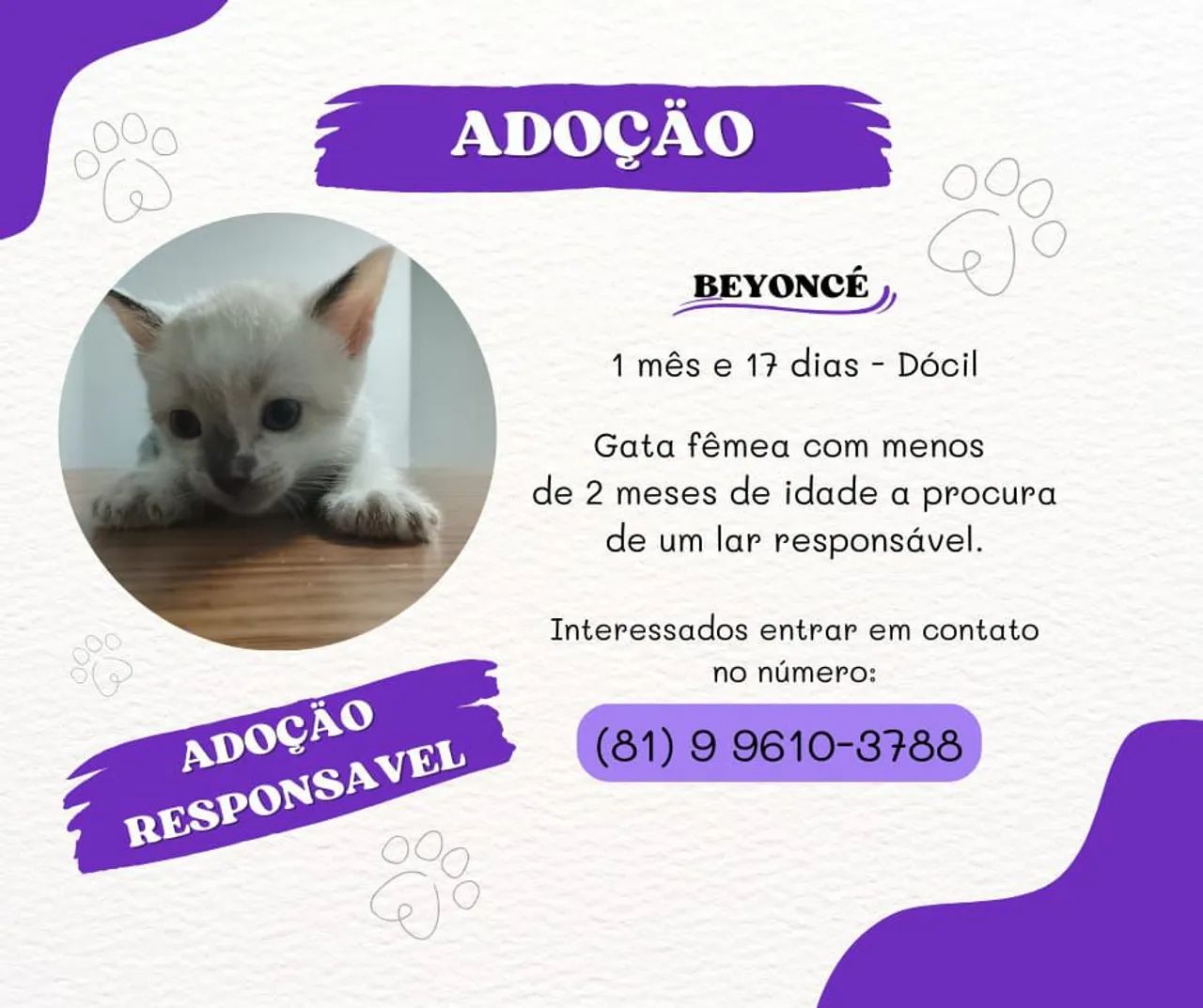 Adoção responsável - Gata