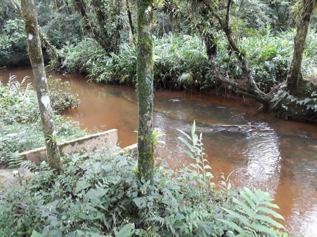 Chácara - Ponte Alta - Morretes - Foto 20