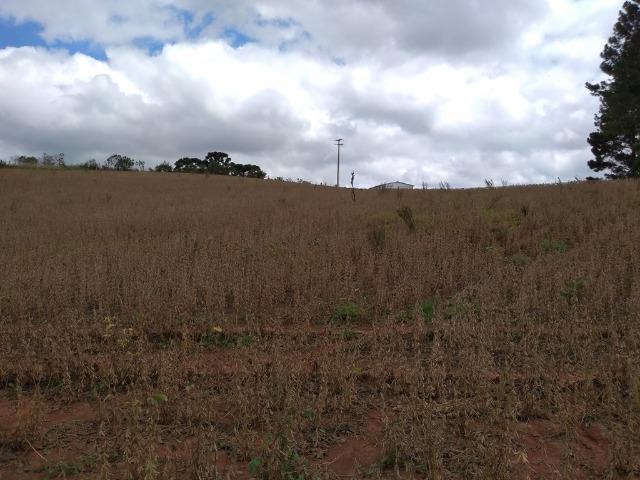 REF 2407 - Chácara com 3.000m² - Excelente formar chácara Serrinha - Contenda/PR - Foto 13