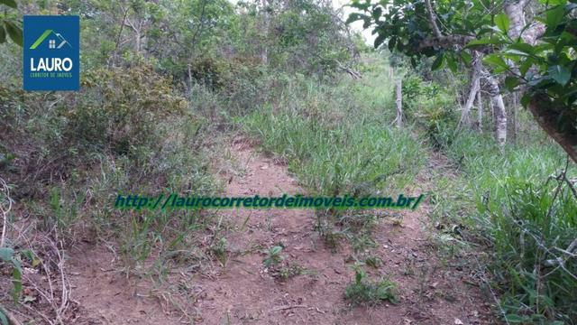 Terra com 8 alqueires a 13 km de T. Otoni - Foto 19