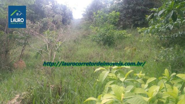 Terra com 8 alqueires a 13 km de T. Otoni - Foto 15