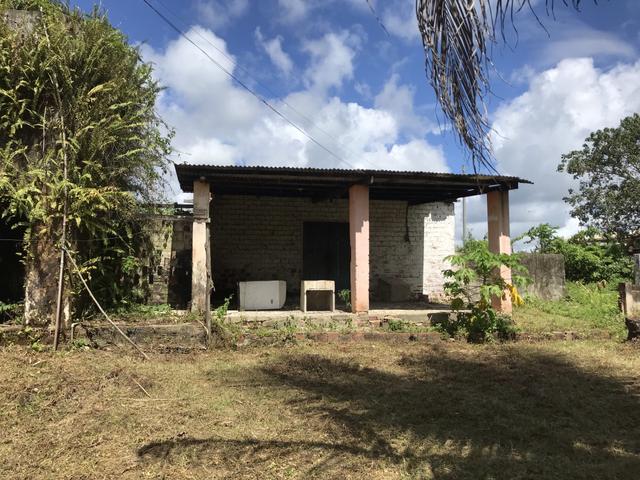 Granja, sítio, fazenda em Igarassu, 4 hectares com bastante benfeitorias! - Foto 7
