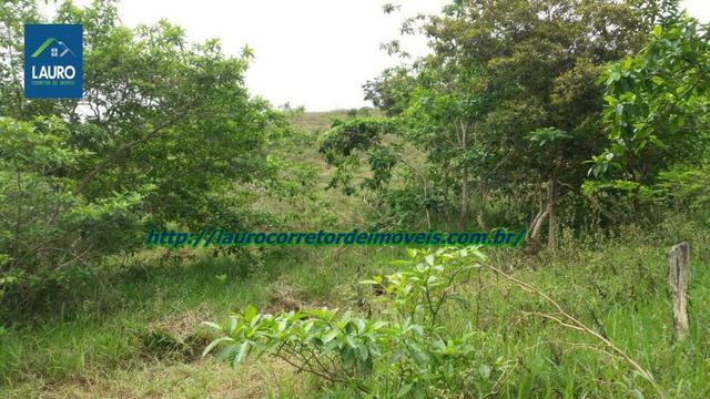 Terra com 8 alqueires a 13 km de T. Otoni - Foto 18