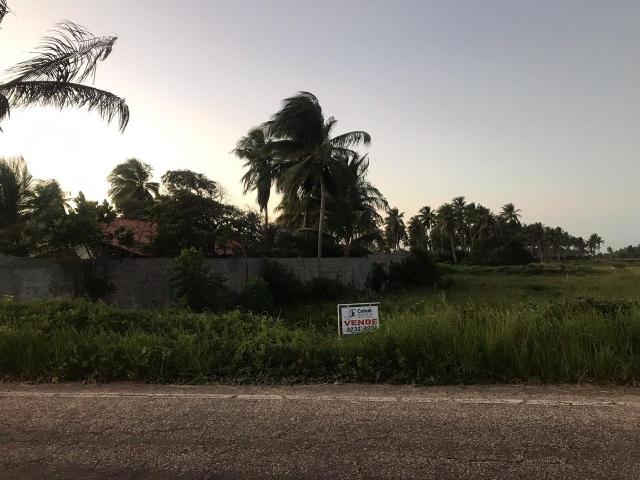 Terreno no bairro Mosqueiro, próx. À Salao de festas Villa Ricca - Foto 12