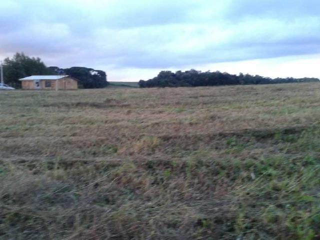 REF. 2458 - Terreno com 689,60m², no Mato Branco Contenda - Foto 2