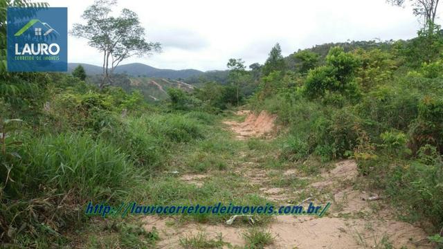 Terra com 8 alqueires a 13 km de T. Otoni - Foto 8
