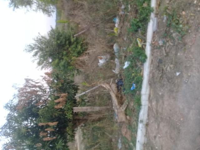Terreno - Foto 3