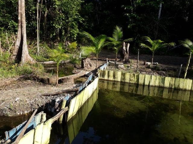Terreno com Igarapé - Ramal do 30 Curuçá - Foto 7