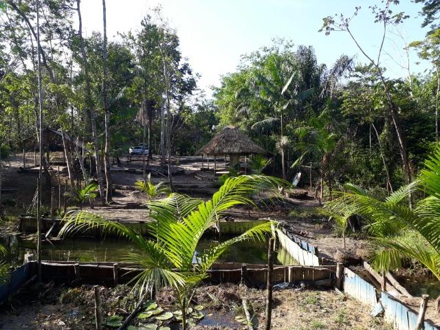 Terreno com Igarapé - Ramal do 30 Curuçá - Foto 18