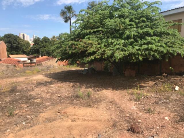 Terreno para alugar