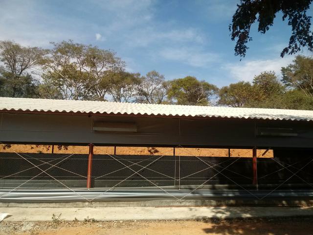 Prestação de serviços - Foto 5