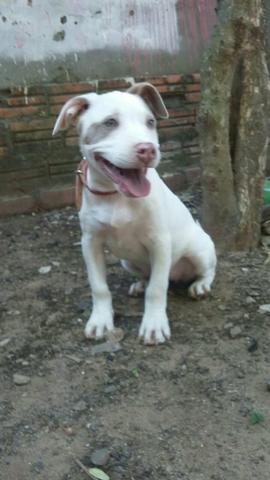 Lindos - Foto 6