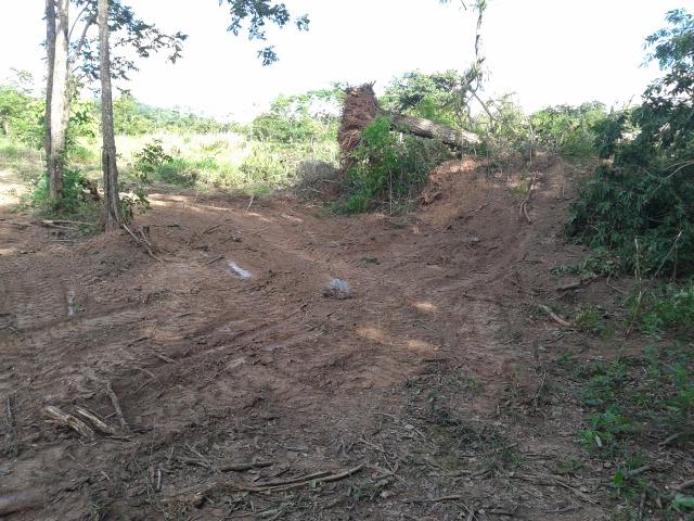 Sítio bem estruturado no Distrito da Guia/MT - Foto 3