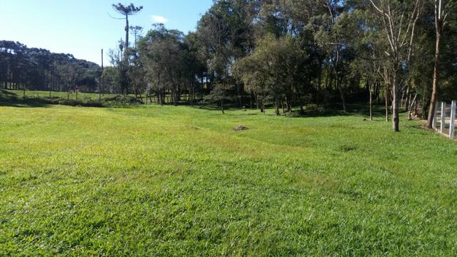 Chácara Bocaiuva do Sul - Foto 2