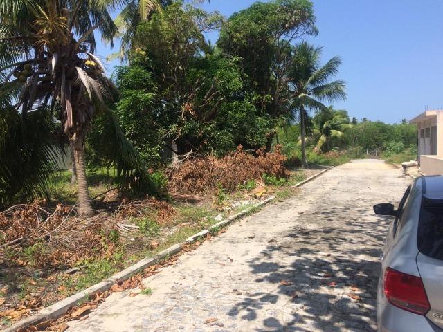 Barra Nova Vendo Lotes e uma Casa - Foto 7