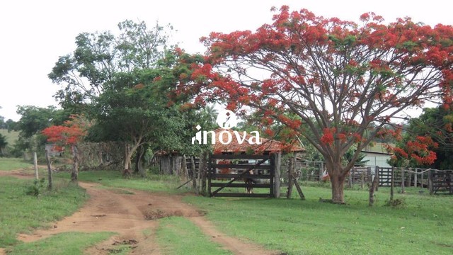 Fazenda à venda, 5 quartos, Rural - Uberaba/MG