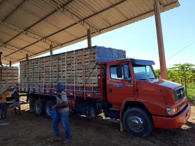 L1620 ANO 98