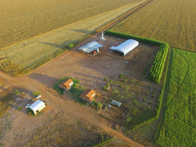 Fazenda em Gaúcha do Norte - MT  - Foto 4