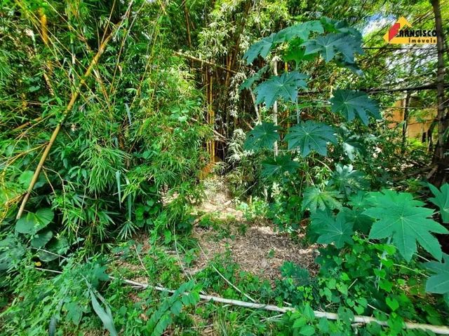 Lote à venda, Orion - Divinópolis/MG - Foto 2