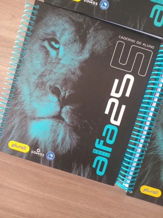 Apostilas Alfa 25 Anglo - Foto 2