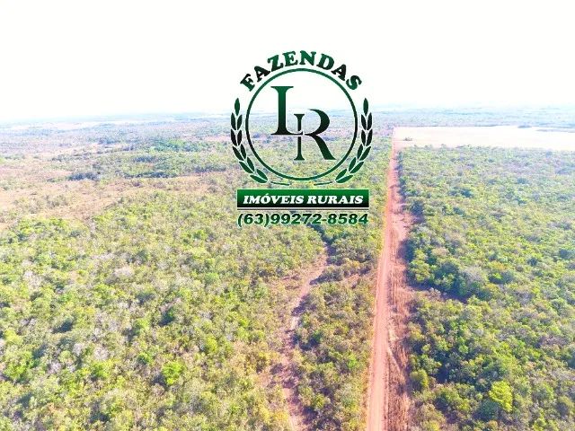 Fazenda 103 alqueires  Vale Araguaia - Foto 5