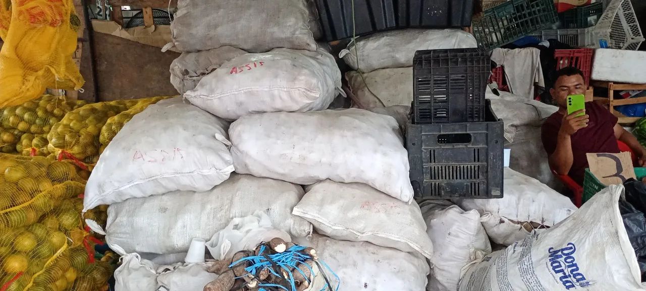 Macaxeira fresquinha ..sacolão...cara roxo  - Foto 3