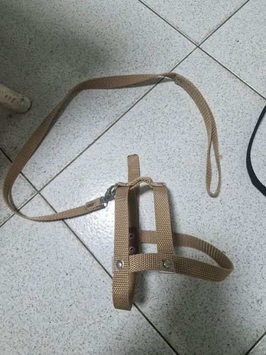 Conjunto guia/peitoral - Foto 2