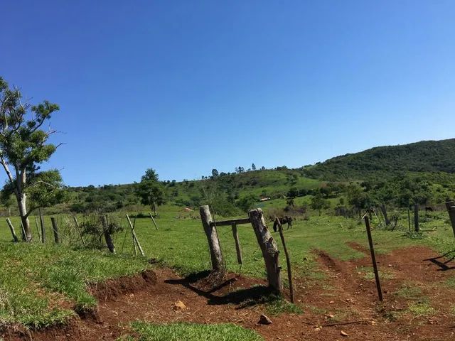 Fazenda de opurtunidade  55 mil o alqueiro - Foto 3