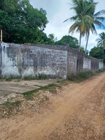 Vendo Sitio em Riacho Doce - Foto 5