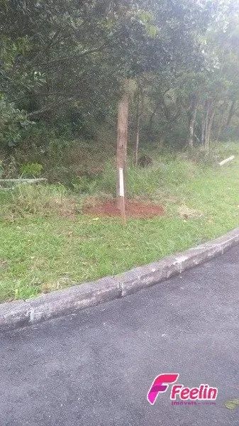Terreno de 1.500,74m² no Bairro João Paulo - Florianópolis - Foto 2