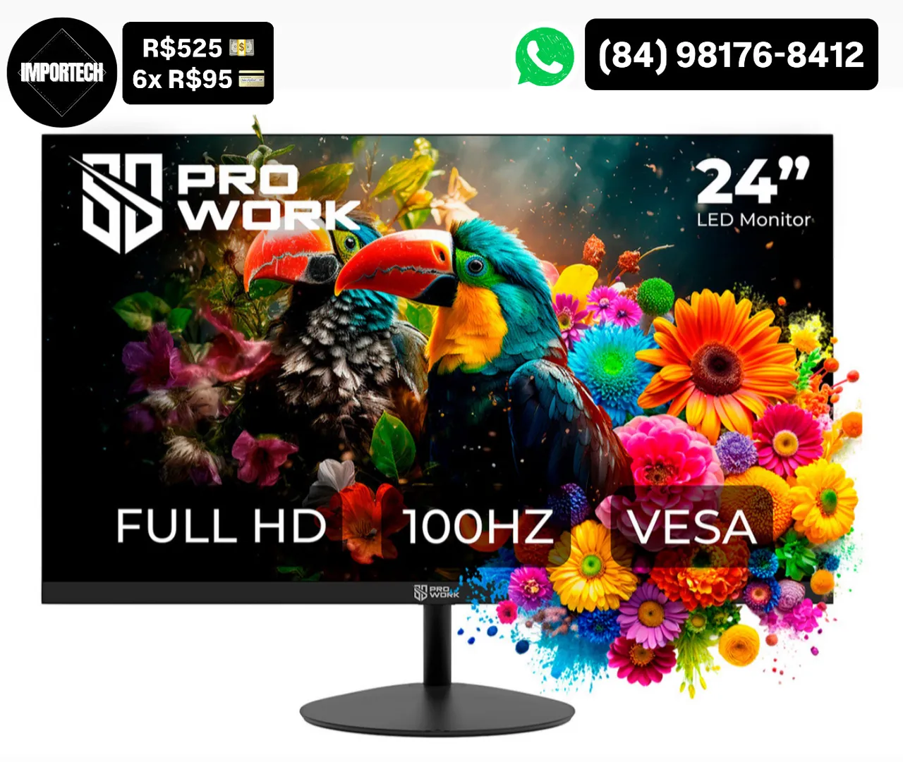 Monitor Pro Work 24'' Full HD 100Hz. @importech_084